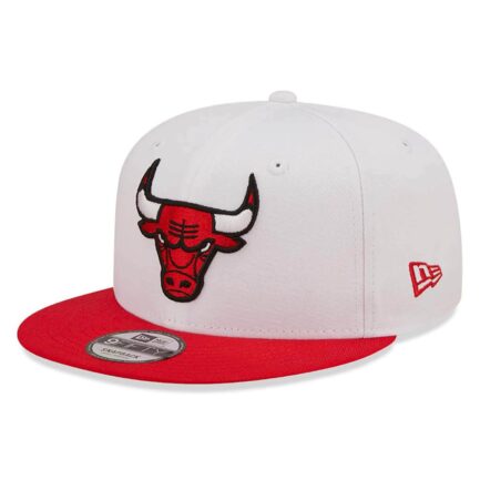 new era chicago bulls kapelo isio