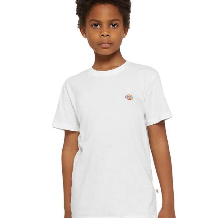 Dickies T-shirt kids