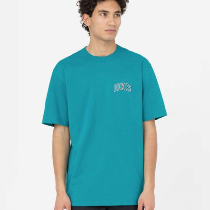 dickies mplouza andrikh