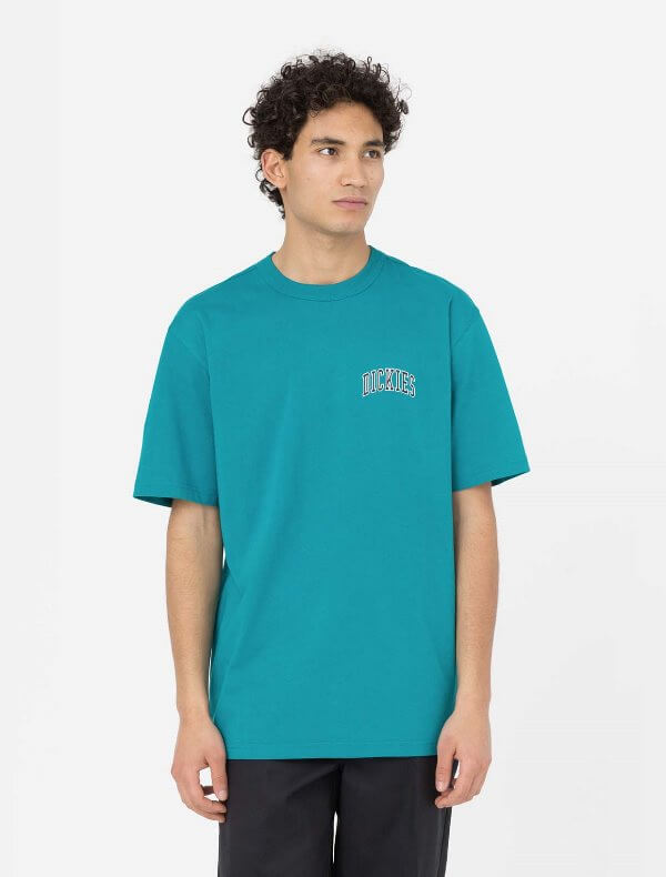 dickies-aitkin-chest-t-shirt-mens-deep-lake-DK0A4Y8OE64-1 dickies mplouza andrikh