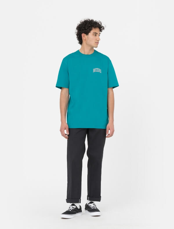 dickies-aitkin-chest-t-shirt-mens-deep-lake-DK0A4Y8OE64-3