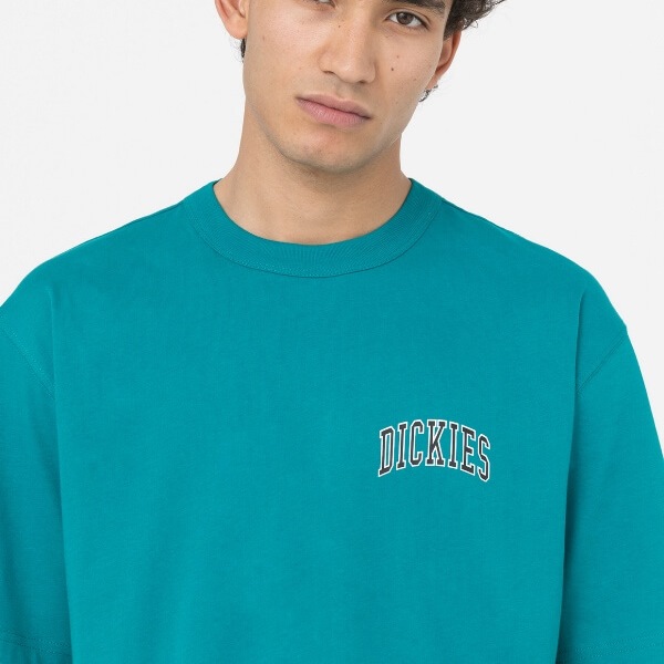 dickies-aitkin-chest-t-shirt-mens-deep-lake-DK0A4Y8OE64-4