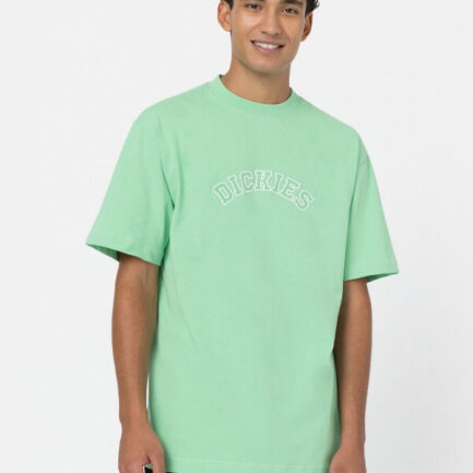 Dickies West Vale T-Shirt Men's - Apple Mint (DK0A4YBME91)