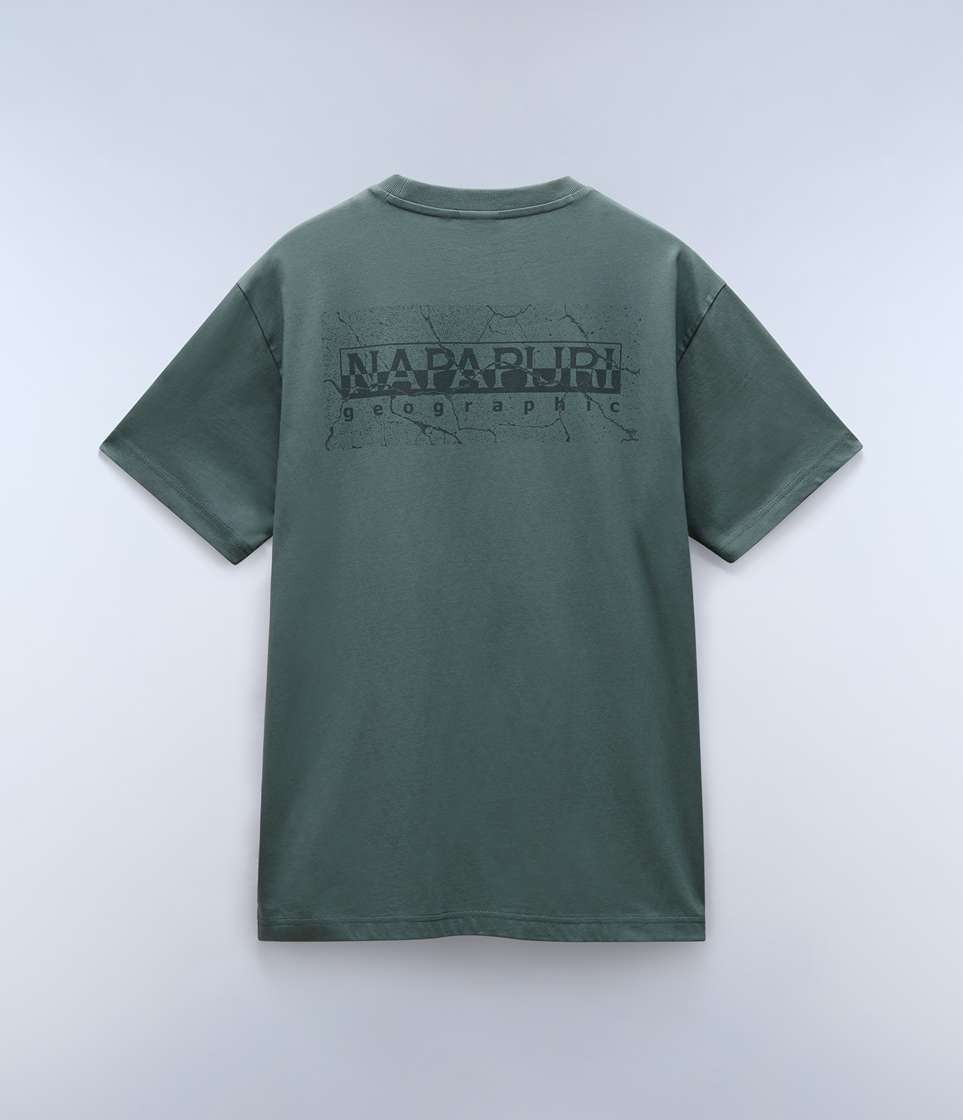 napapijri-albula-t-shirt-mens-green-urban-np0a4i34g1s-1