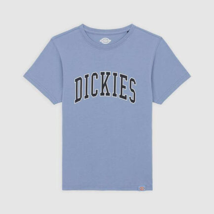 Dickies Boys Aitkin T-Shirt Kids (6-14 Years) - Country Blue (DK0A4Z8OK37)