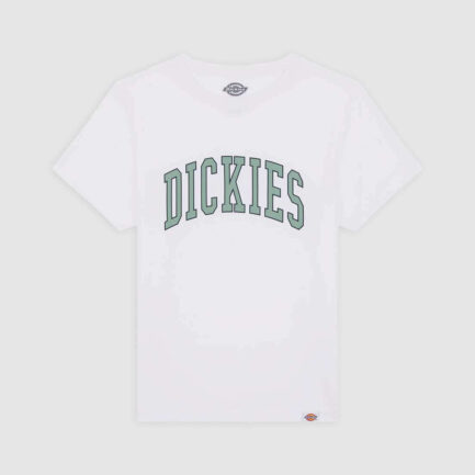 Dickies Boys Aitkin T-Shirt Kids (6-14 Years) - White (DK0A4Z8O0WH)