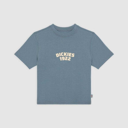 Dickies Center Logo T-Shirt Γυναικείο - Stormy Weather (DK0A4Z8FG70)