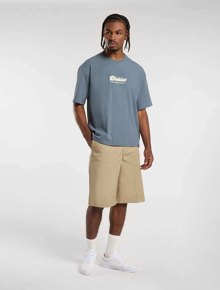 dickies-lewistown-embro-t-shirt-mens-stormy-weather-dk0a4z94g70-5