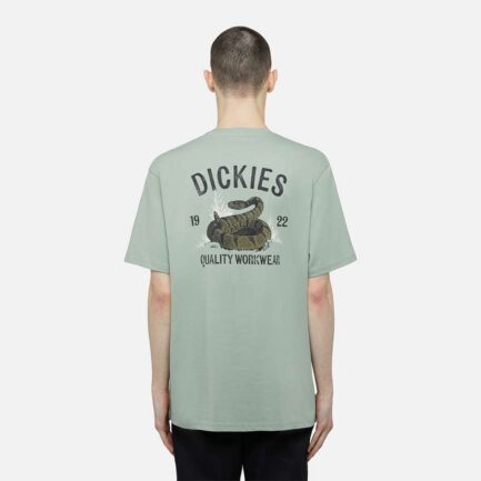 Dickies Snake T-Shirt Men's - Iceberg Green (DK0A4Z99K36)