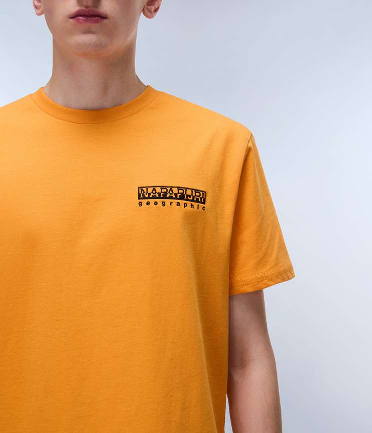 napapijri-vignoni-back-t-shirt-mens-apricot-np0a4ilxa70-5