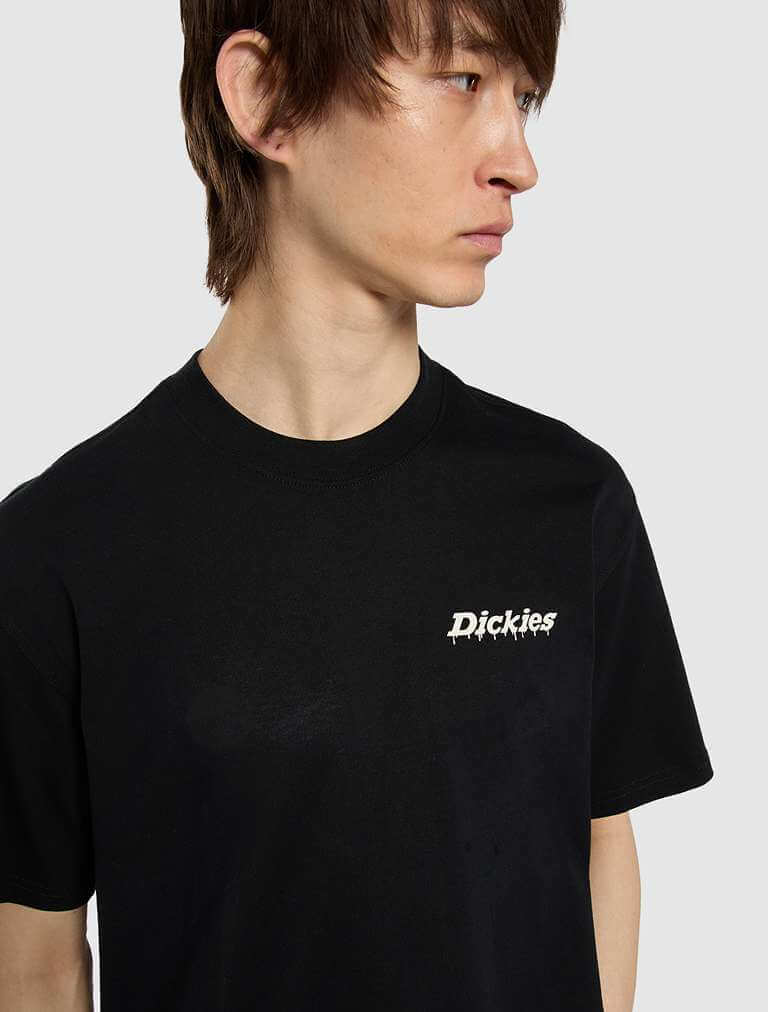 dickies-statesville-t-shirt-mens-black-dk0a87qpblk-6