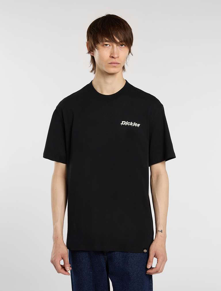 dickies-statesville-t-shirt-mens-black-dk0a87qpblk-7