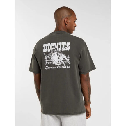 Dickies Buchtell T-Shirt Ανδρικό - Black (DK0A883BBLK)