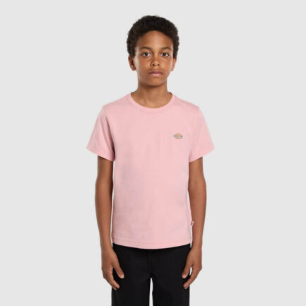 Dickies Mapleton T-Shirt Kids (6-14 Years) - Bridal Rose (DK0KSR64L47)