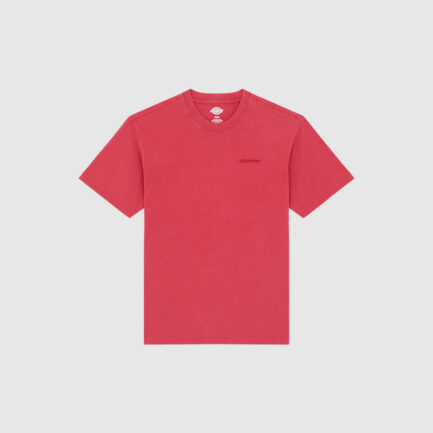 Dickies Plentywood T-Shirt Men's - Garnet (DK0A866BL33)