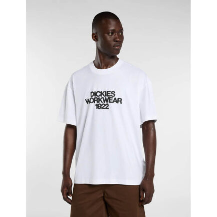 Dickies Torrey T-Shirt Ανδρικό - White (DK0A88890WH)