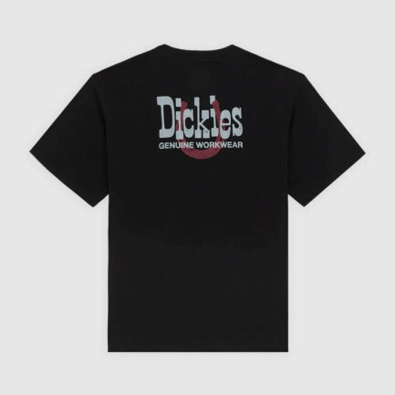 Dickies Vernal T-Shirt Ανδρικό - Black (DK0A88JVBLK)