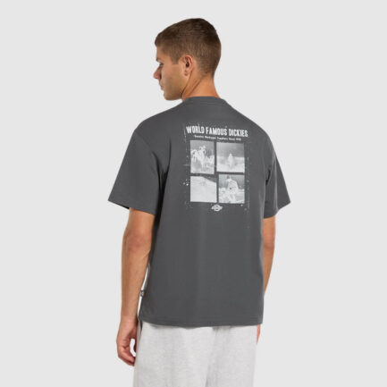 Dickies Wolfhurst T-Shirt Ανδρικό - Charcoal Grey (DK0A88QOCH0)